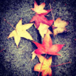 Meet your Posher, Joana